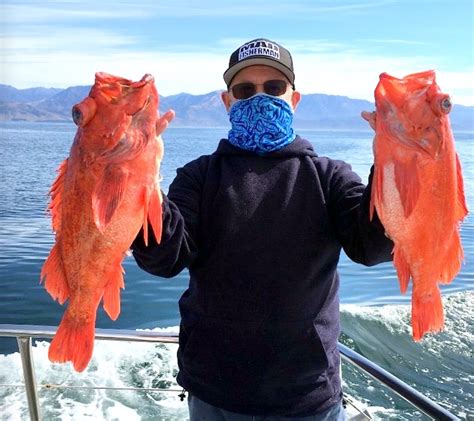 MONTEREY FISH .